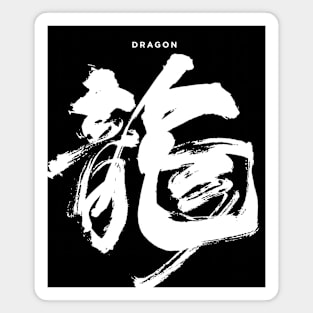 Dragon: Chinese/Japanese Character for Dragon for the Chinese New Year on a Dark Background Magnet